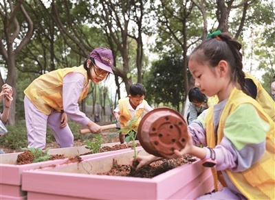 儿童园长变身“菜农” 在“一米菜园”中体验儿童友好
