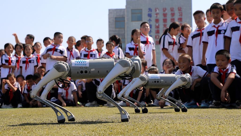 中小学科技教育要防止功利化倾向