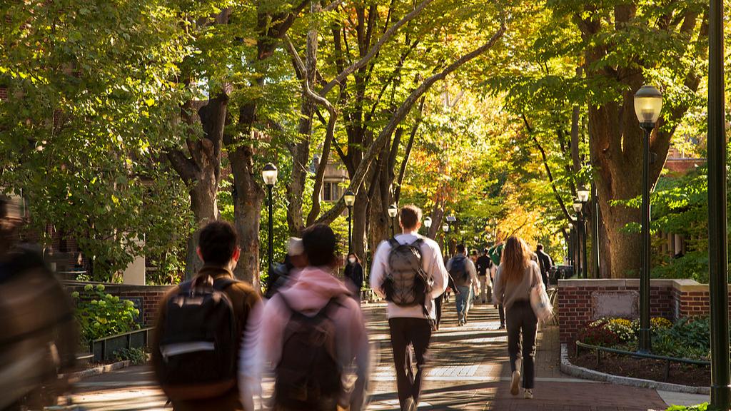 去年留学回国49.5万人 同比增长19.1%