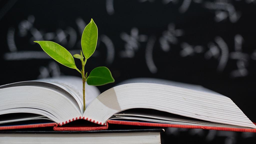 2026����Щ���������غ�����