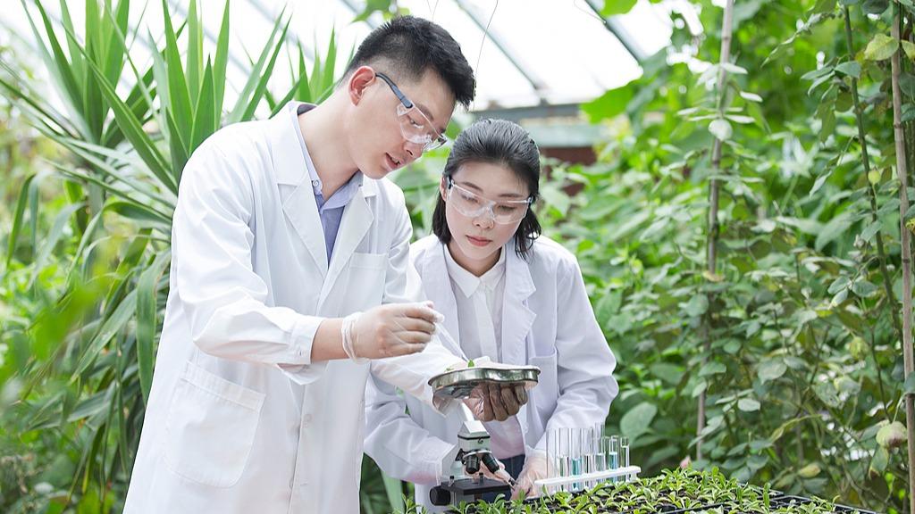 ������Դ�����ߵ��