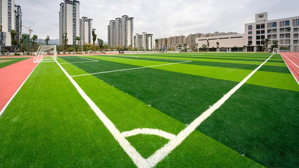 �����ƽ�������ӡ���Сѧ����