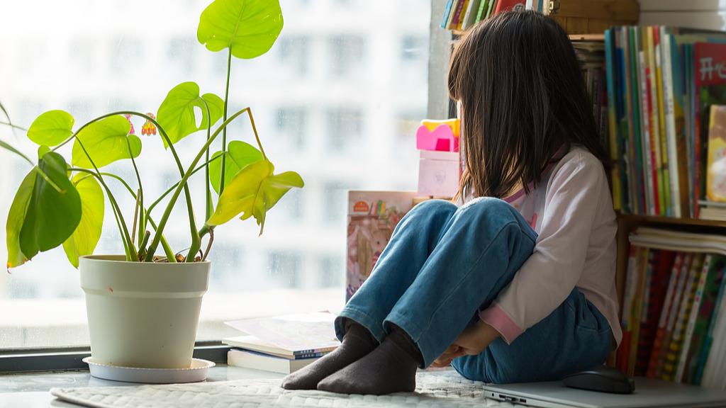 ����������ʵʩ������������ƻ�