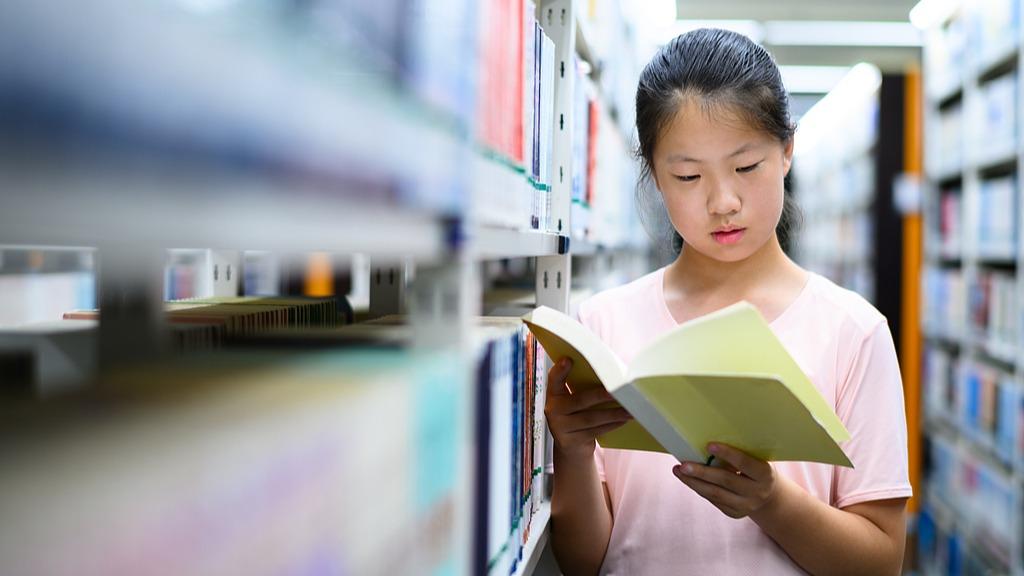 ������ʽ �ḻ���塪�������Сѧ̽���Ķ��ġ�N�ַ�ʽ��